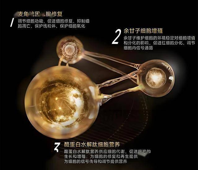 股票T0交易真相揭晓，理财者的心声让人深思